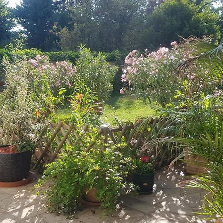 Maison Anne Face To Park In Vernon Giverny Bagian luar foto